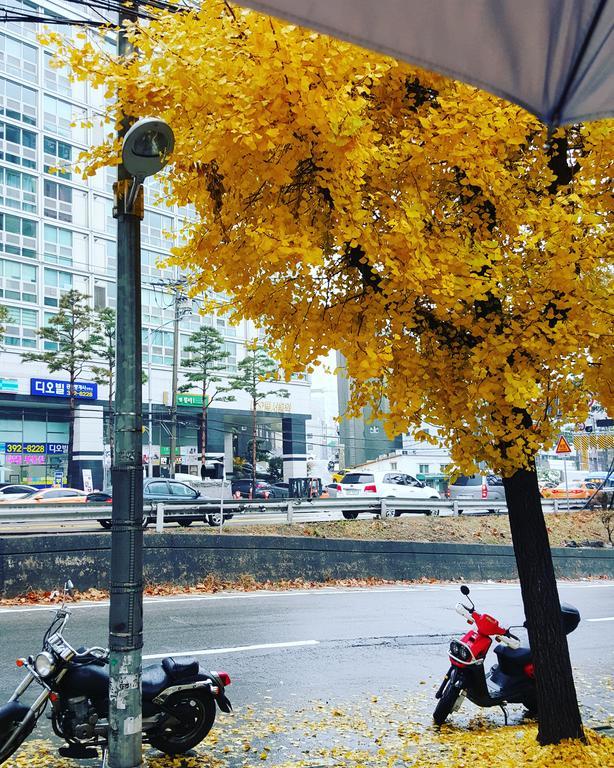 Feliz Guesthouse, Seoul Station Seul Exterior foto